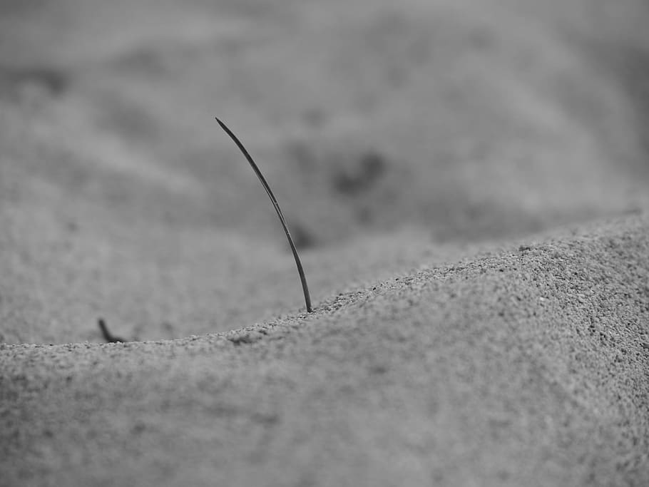 sand, sea, beach, dunes, macro, stones, mediterranean, sand beach HD wallpaper