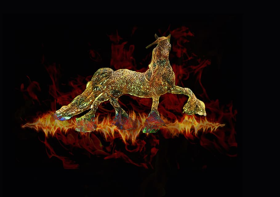 horse, fire, abstract, flame, black background, no people, indoors HD wallpaper
