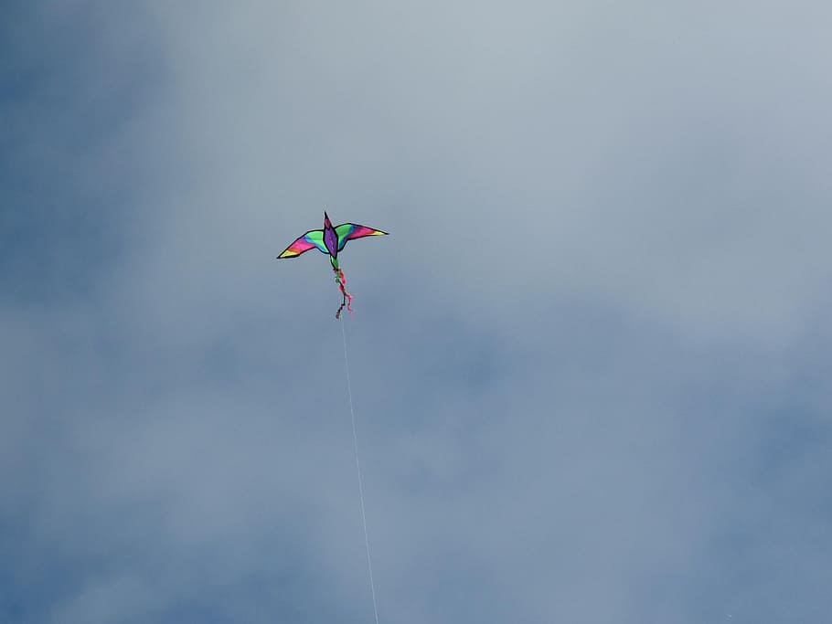 kite, sky, bird, toy, clouds, fly, flying, play, blue, active HD wallpaper