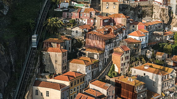 aerial view of white painted houses during daytime, aerial shot of village houses HD wallpaper
