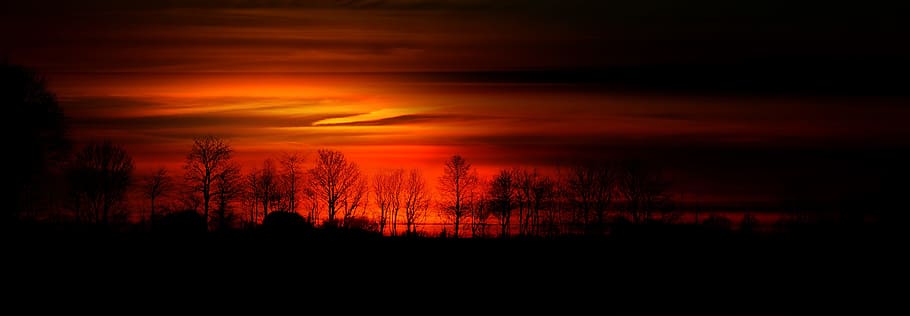 silhouette photo of trees, series, sun, orange, sunset, abendstimmung HD wallpaper