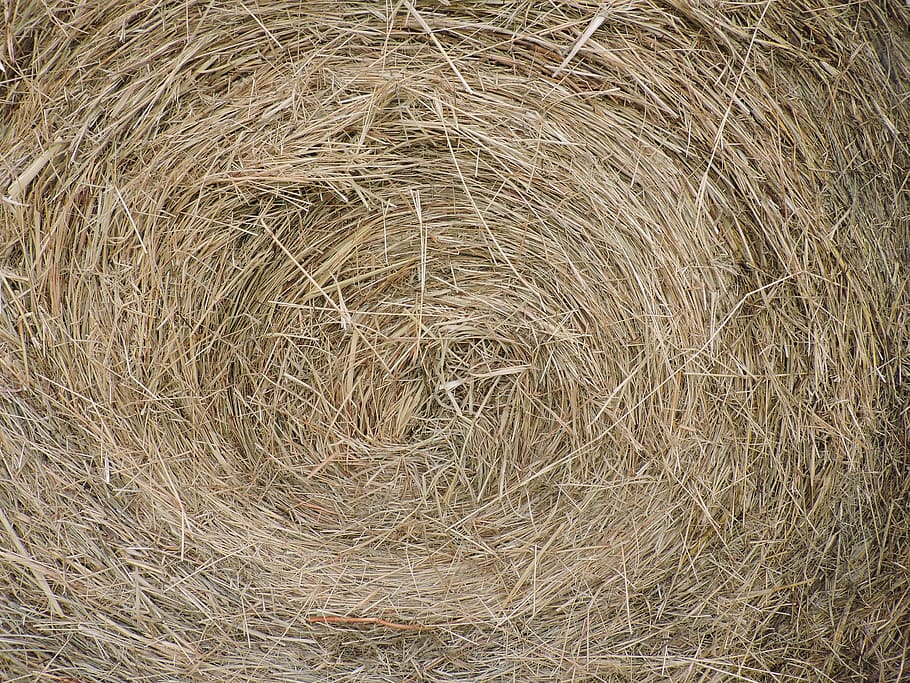 hay bale, farm, closeup, round, feed, agriculture, full frame, HD wallpaper