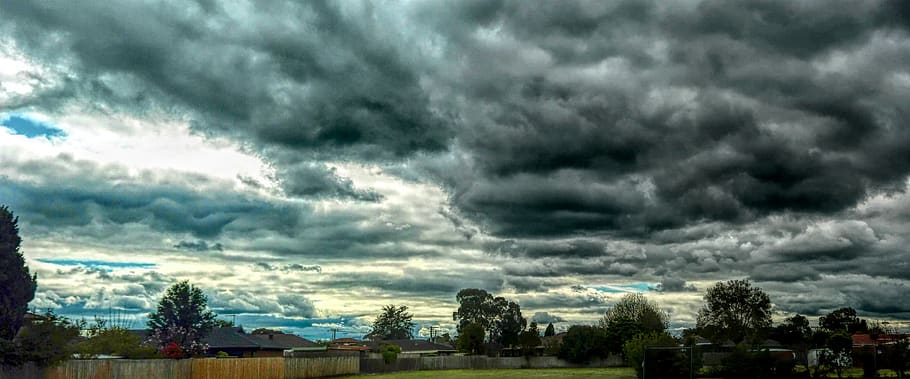 clouds, sky, weather, nature, cloud - sky, tree, plant, storm HD wallpaper