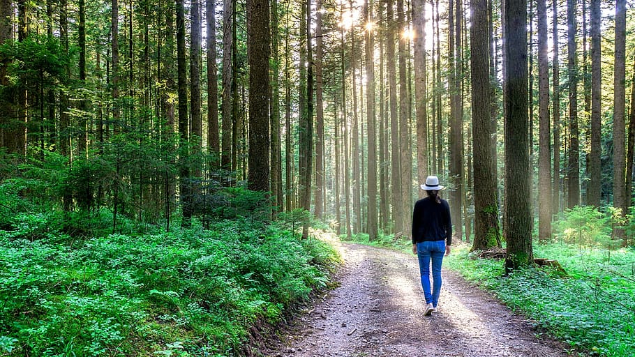 woman standing between trees during daytime, nature, forest HD wallpaper