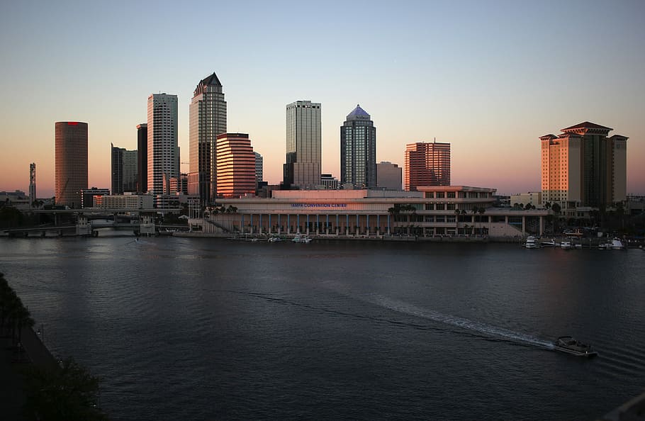 city buildings near body of water, tampa, skyline, sunset, florida