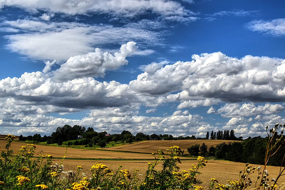 foresight, wide, romance, clouds, unreal, cloudiness, impressions HD wallpaper