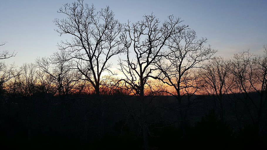 sunset, nature, sky, landscape, peaceful, dusk, tree, silhouette HD wallpaper
