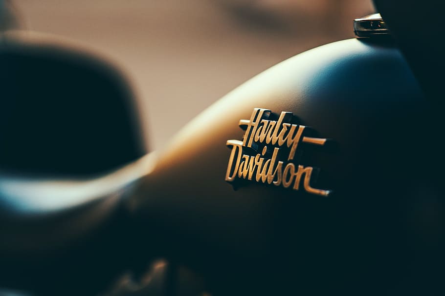 black Harley-Davidson motorcycle fuel tank, macro photo of Harley-Davidson motorcycle