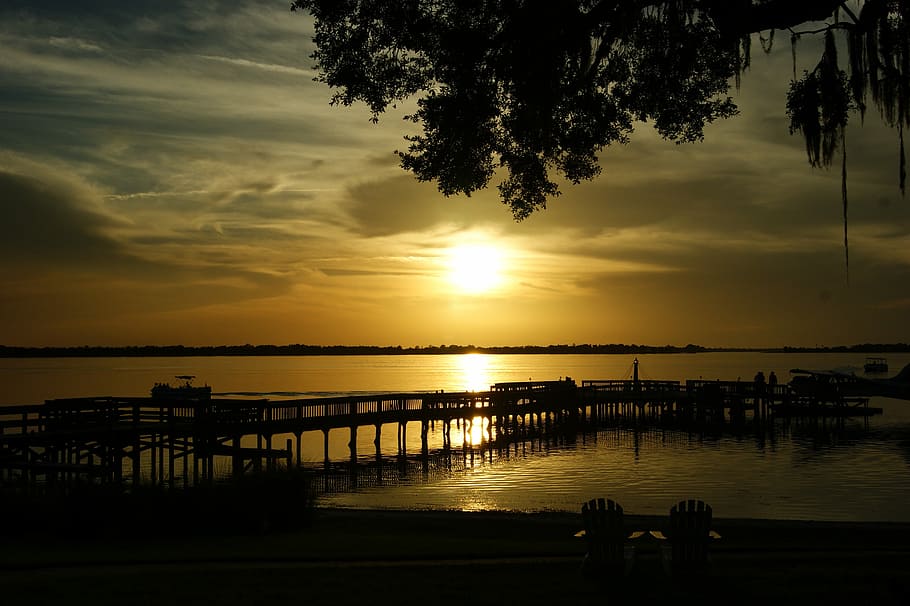 Florida, Mount Dora, abendstimmung, sunset, silhouette, nature HD wallpaper
