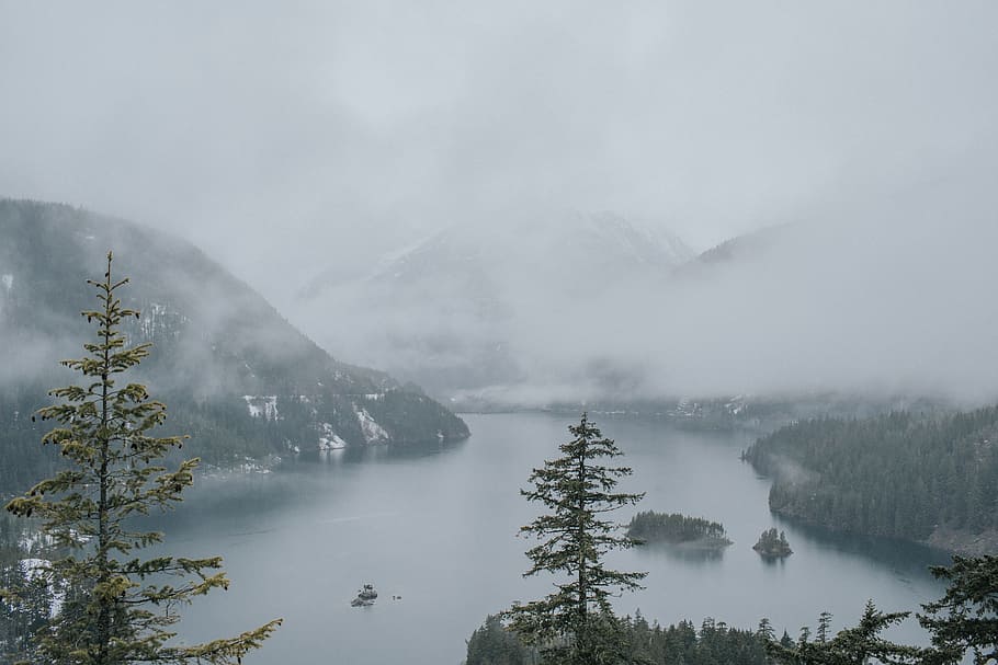 aerial view photography of lake surrounded by pine trees, smoky mountain with green trees and lake nature photography HD wallpaper