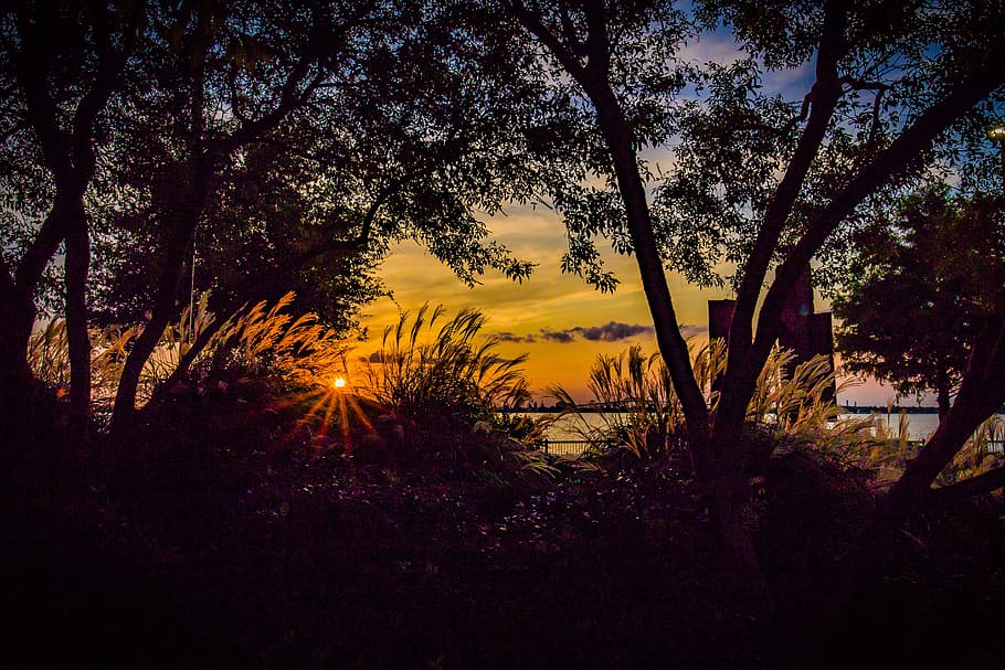 sunset, evening, water, nature, landscape, sky, summer, outdoor HD wallpaper