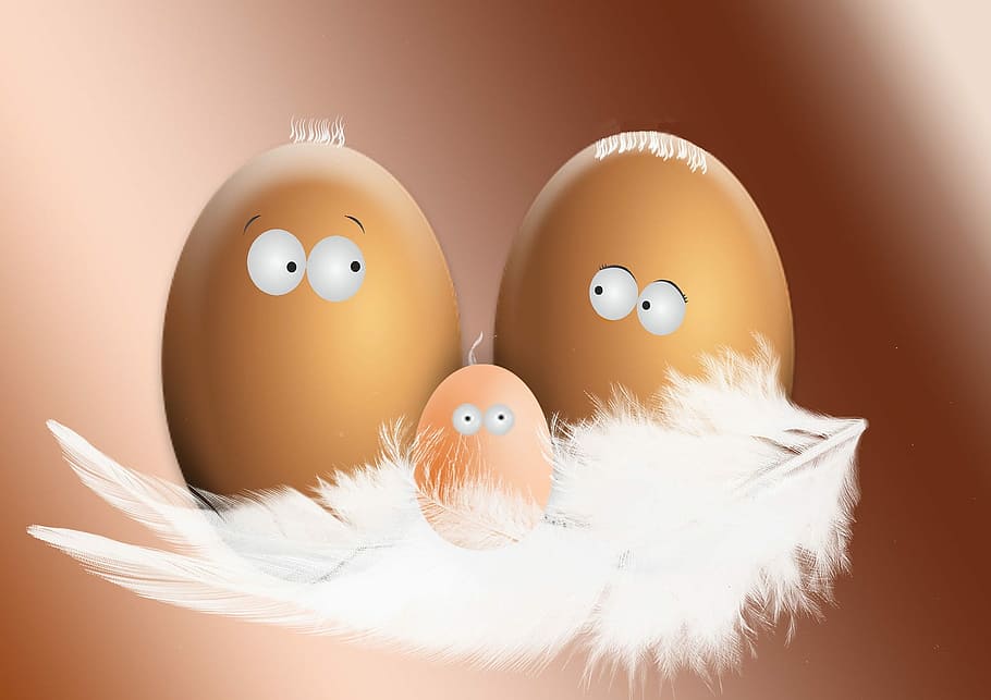 three brown eggs with white feather illustration, chicken eggs, HD wallpaper