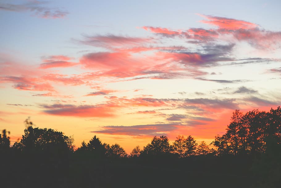 sky, sunset, clouds, colorful, colors, red, pink, orange, trees HD wallpaper