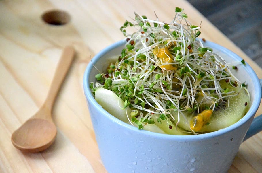 Broccoli Sprouts, Super Food, anti cancer, food and drink, bowl, HD wallpaper