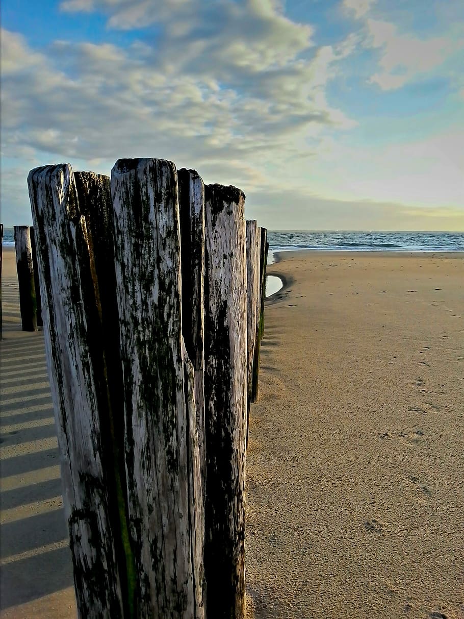 Groynes, Sea, Ebb, Clouds, Sand, sky, beach, holland, hdr, wood - material HD wallpaper