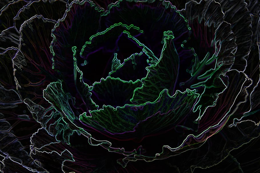 Edge, Glow, Cabbage, human body part, technology, healthcare and medicine HD wallpaper