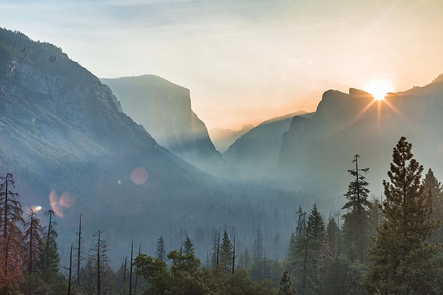 landscape photography of sun peeping on mountain range, aerial photography of foggy mountain with trees HD wallpaper