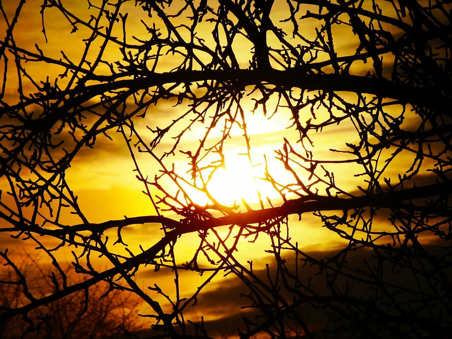 sun, branch, tree, yellow, dark, clouds, sunset, nature, silhouette HD wallpaper