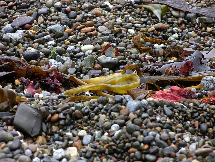 pebbles, beach, stone, nature, outdoors, stone - object, water HD wallpaper