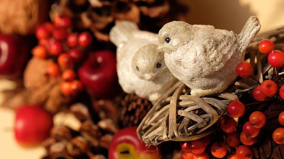 wreath, risers, ornament, holiday, no people, decoration, close-up HD wallpaper