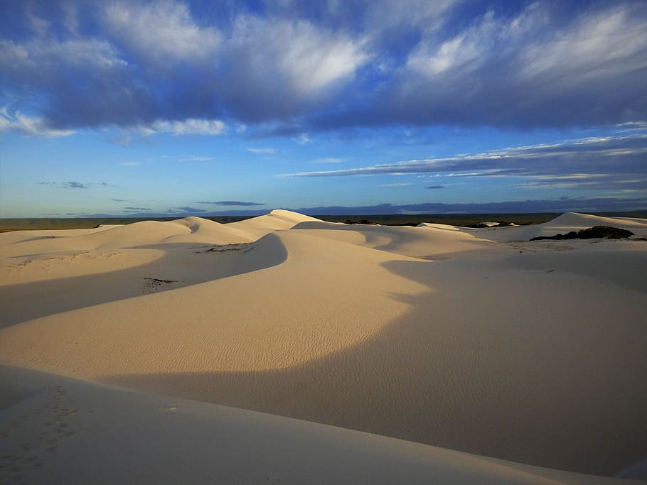 sand, desert, landscape, waters, nature, south africa, de hoop HD wallpaper