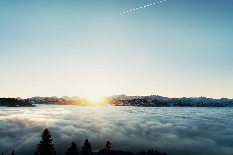 silhouette of trees beside clouds, trees and mountain covered with white fogs HD wallpaper