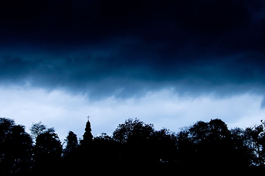 silhouette of tree under thunder clouds during day, rain, storm HD wallpaper