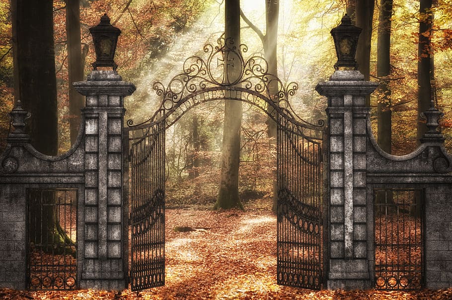 grey concrete stand with black metal gate, forest, beech wood, HD wallpaper