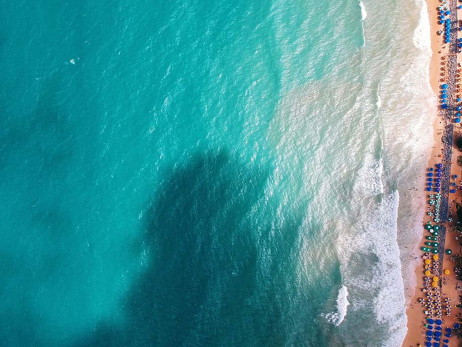 aerial photography of seashore, aerial view photography of beach