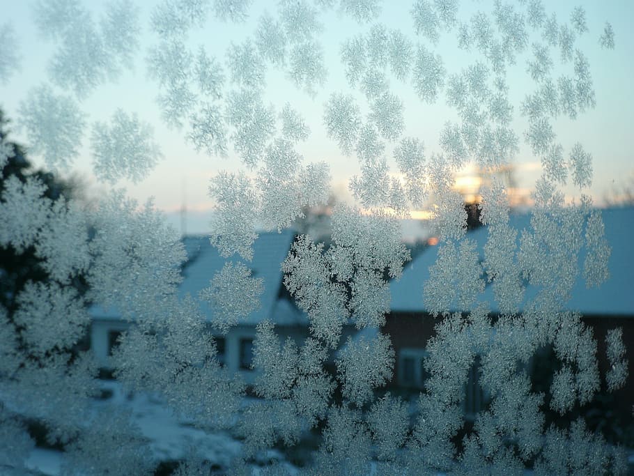 hardest, eiskristalle, window, winter, winter magic, cold, frost HD wallpaper