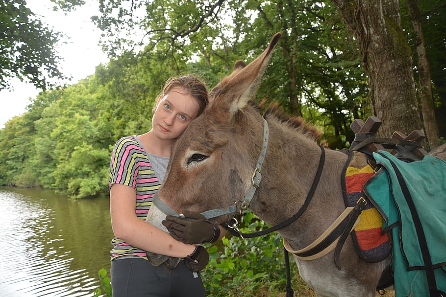 woman hugging head of donkey near body of water, young woman, HD wallpaper