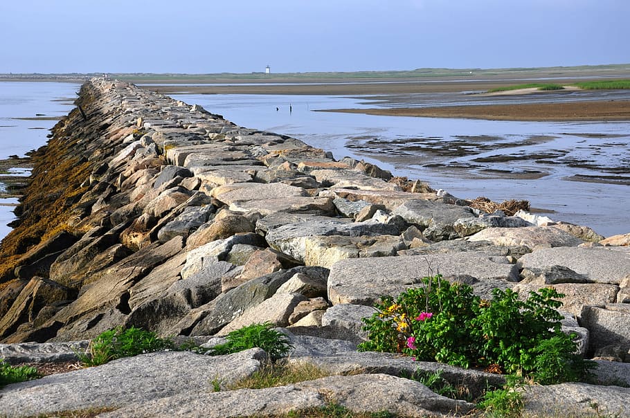 brown and gray rock formation, jetty, cape cod, provincetown, HD wallpaper