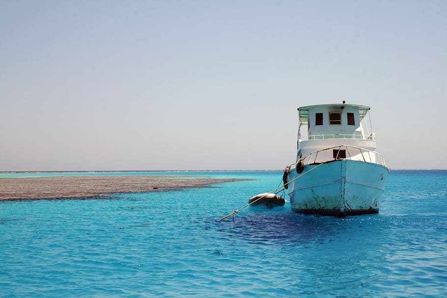white boat sailing near land, Boot, Sea, Ship, Ocean, water HD wallpaper