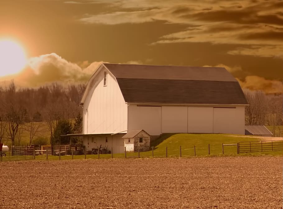 barn, rustic, barns, morning, golden, dawn, sepia, ohio, digital art HD wallpaper