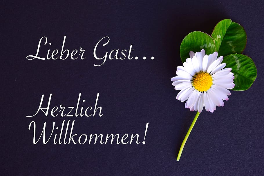 liever gast herzlich willkommen!, embassy, map, welcome, guest HD wallpaper