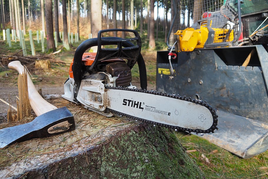 forest, chainsaw, forest work, woodworks, day, work tool, no people