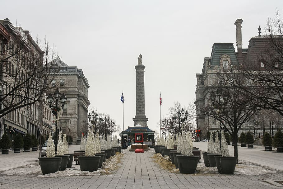 montreal, downtown, trees, display, canada, quebec, city, building HD wallpaper