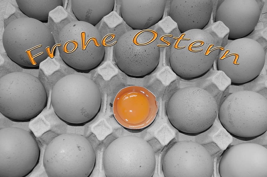 Egg, Happy Easter, Yolk, easter eggs, raw egg, studio shot HD wallpaper