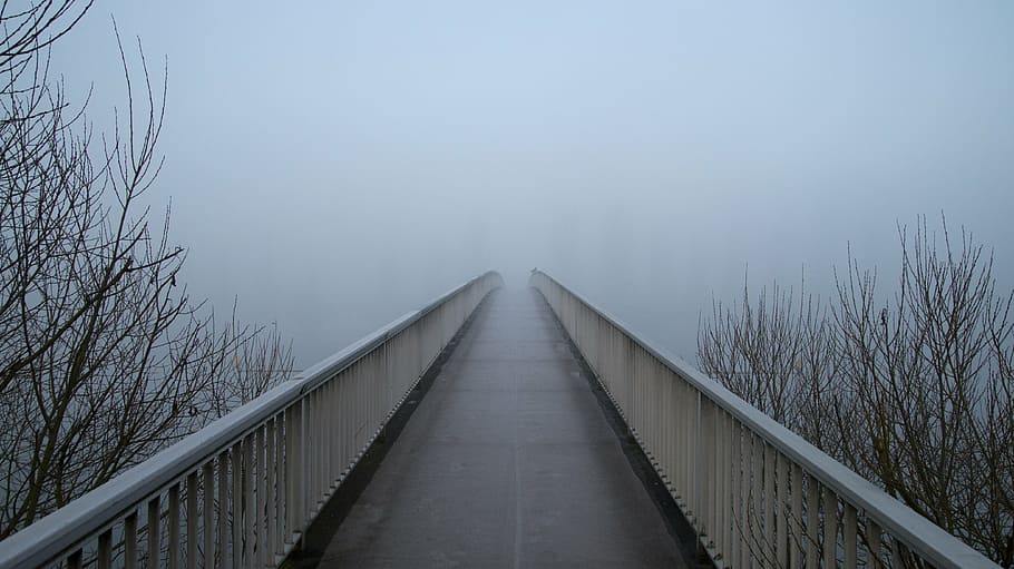 brown and white wooden bridge, fog, web, grey, empty, lonely HD wallpaper