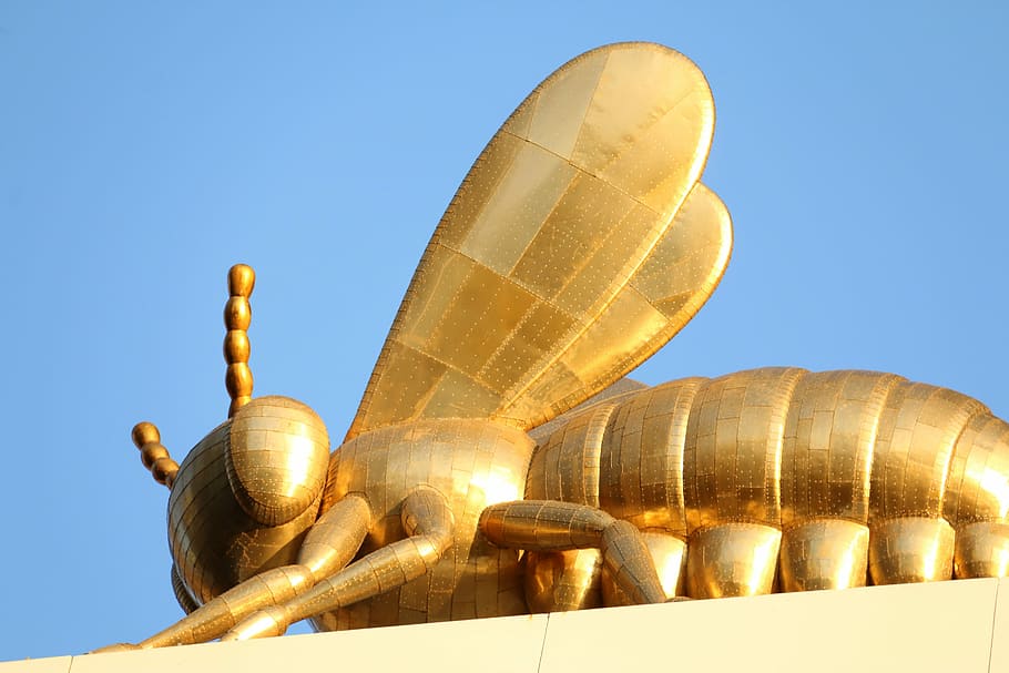 Golden Bee Statue in Melbourne, Australia, bug, insect, public domain HD wallpaper