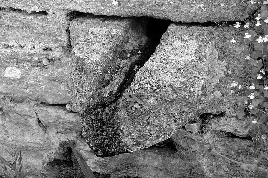 gutter, pierre, water, wall, passage, old stone, black and white HD wallpaper