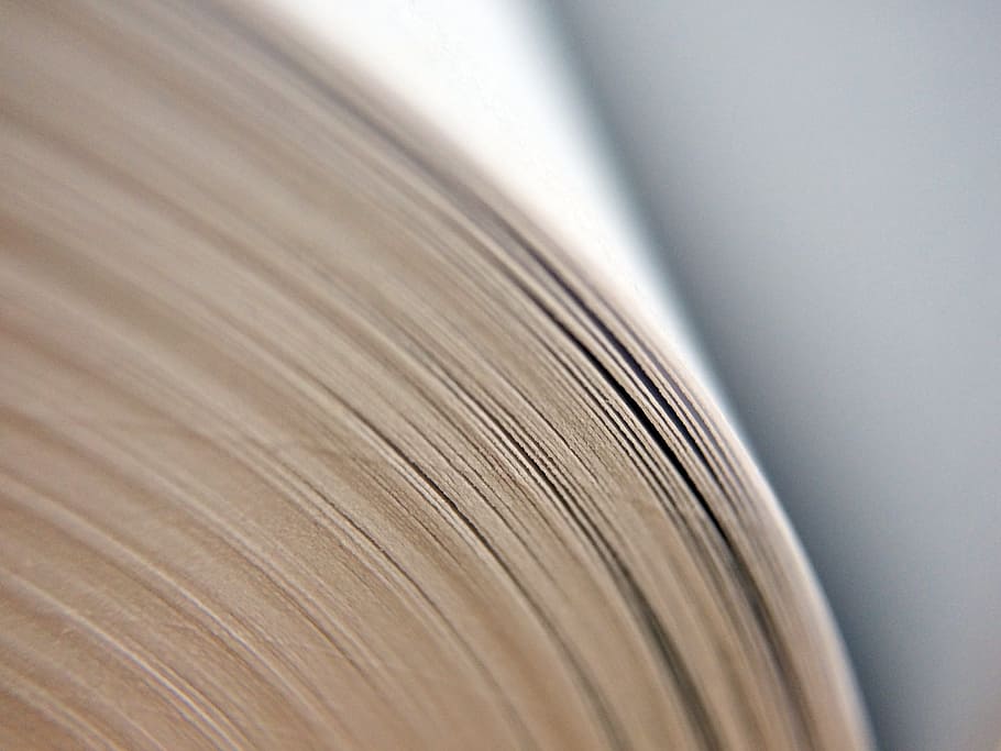 book, school, macro, educate, read, reading, text, library HD wallpaper