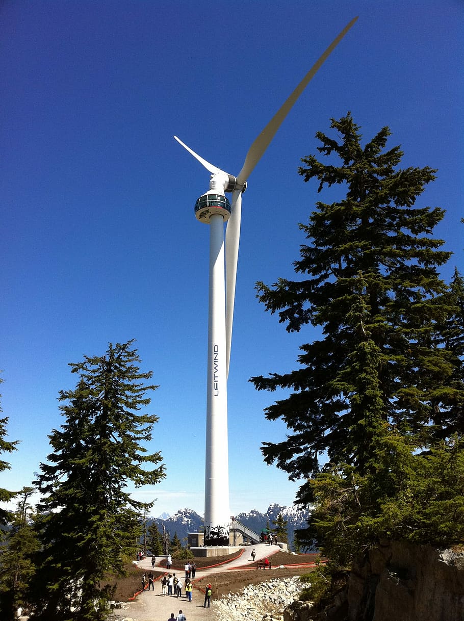 Windmill, Forest, alternative energy, fuel and power generation HD wallpaper
