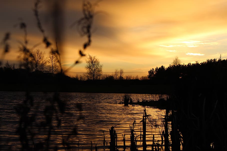 dark, sky, clouds, trees, plants, nature, lake, water, grass HD wallpaper
