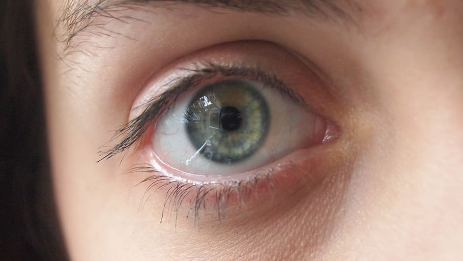 eye, reflection, face, green, brown, speckle, eyesight, human body part HD wallpaper