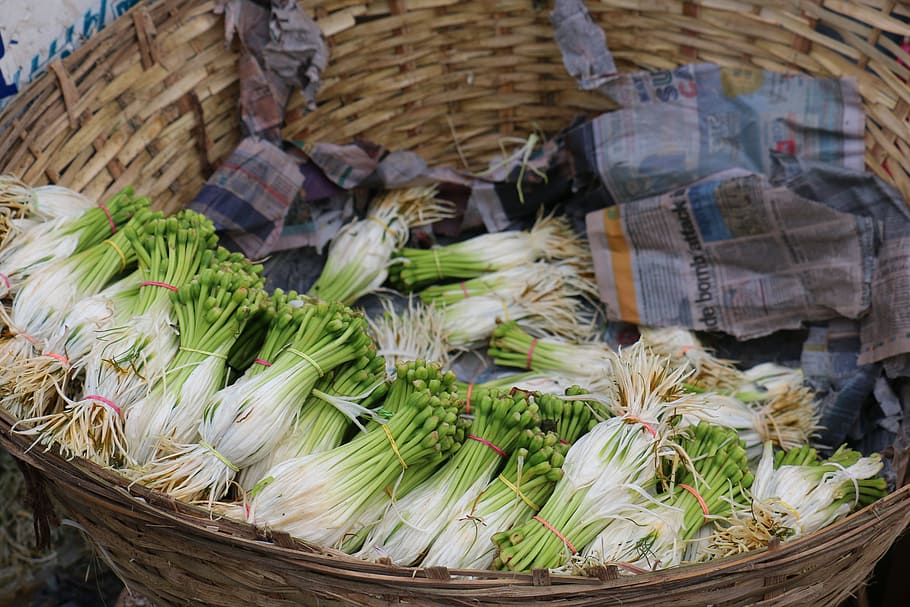 Saplings, Basket, Plants, food, vegetable, market, asia, freshness HD wallpaper