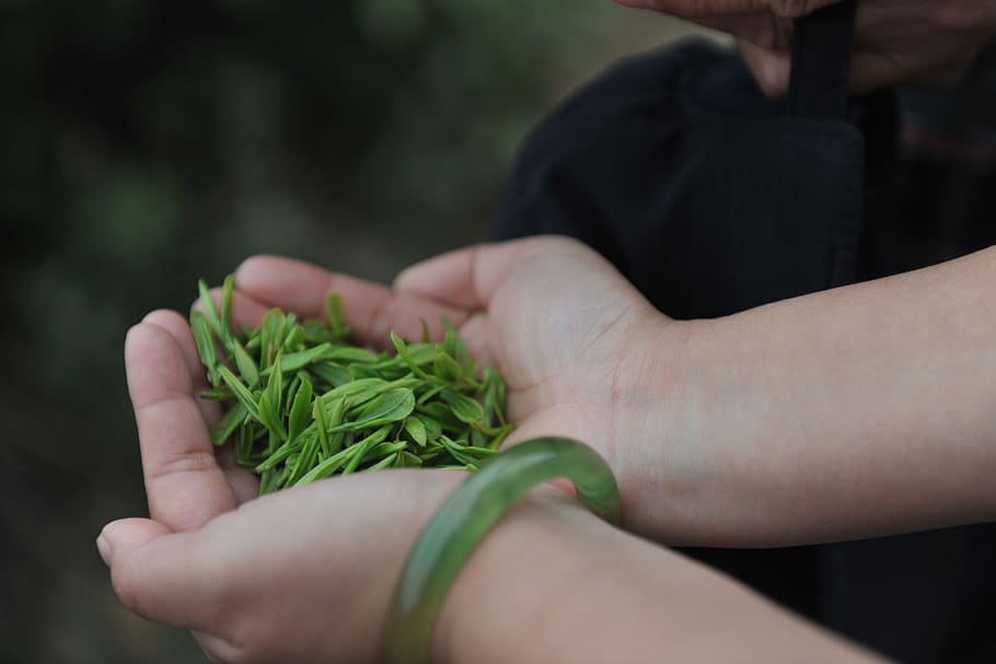 Tea, Hand, human hand, human body part, holding, vegetable HD wallpaper