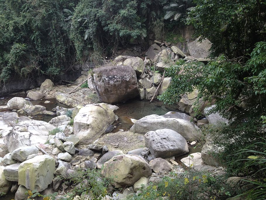 streams, rock, landscape, the wild, solid, rock - object, plant HD wallpaper