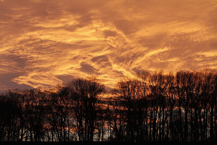 Sunset, Nature, Winter, Landscape, sky, outdoor, light, evening HD wallpaper