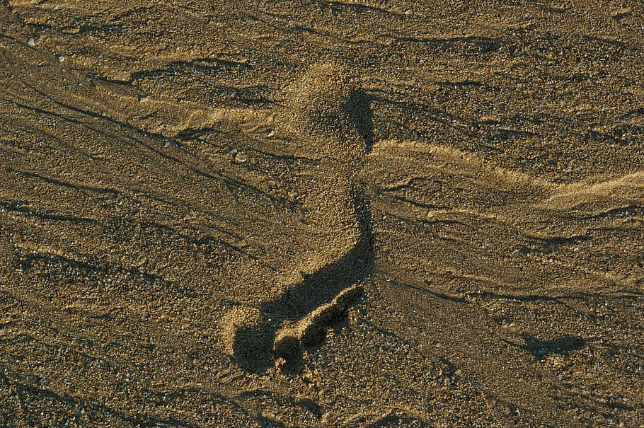 borrows, sand, beach, nature, footprint, backgrounds, track - Imprint HD wallpaper